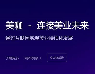 如何利用美容院管理软件在节日开展活动？